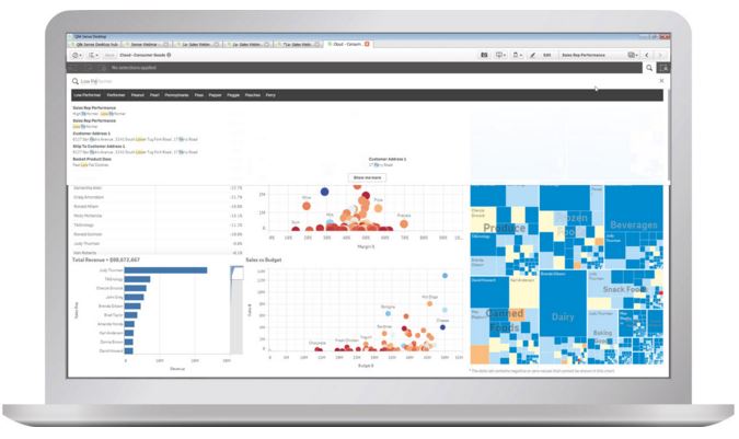 Qlik Sense Smart Search