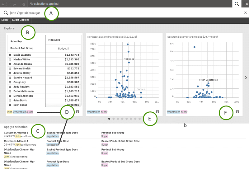 Qlik Sense Smart Search